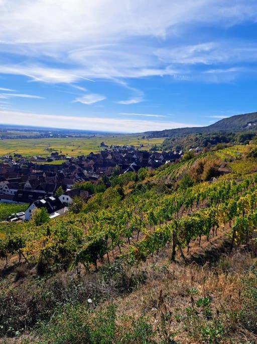 Entre Vignes Et Vergers Gite Parenthese Gueberschwihr ภายนอก รูปภาพ